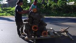 Extreme Way They Transport Logs in French Mountains Instructional Video