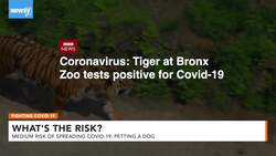 What's The Risk Of Getting COVID-19 If I Let Someone Pet My Dog? News Clip
