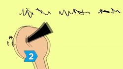 How to Be a Smart Shopper Instructional Video