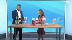 Be Well: How to Protect Your Skin From Bug Bites This Summer News Clip