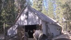 A Stage Ride with "Buckshot" Instructional Video