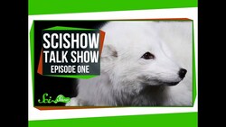 Introducing: SciShow Talk Show! Emily, Rhinos, and Cas the Arctic Fox Instructional Video
