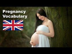 Pregnancy Vocabulary - English Like A Native Instructional Video