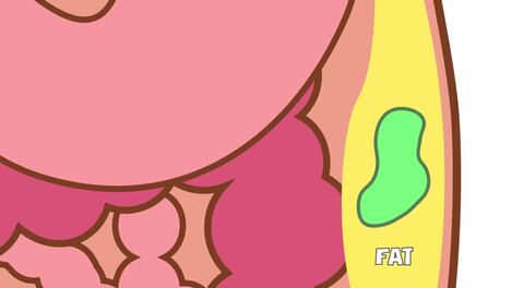 The Science of Yoga (Part 4 - Diet)