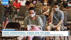$600 Additional Virus Aid To End For Unemployed News Clip