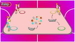 Rob the nest' - How to play (animation) Instructional Video