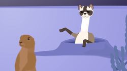 Whizpops! Black Footed Ferret Music Video Instructional Video