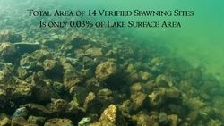 Yellowstone National Park - 2021 Native Fish Conservation Program Presentation Instructional Video