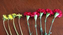 Ratios and Rates: Summing Up (Ratios and Rates) Instructional Video