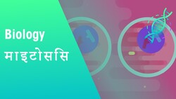 माइटोसिस: माइटोसिस की चरण |कोशिकाओं | जीवविज्ञान | FuseSchool Hindi Instructional Video