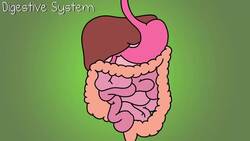 Human Body Systems Functions Overview: The 11 Champions (Updated) Instructional Video