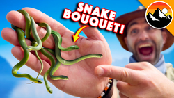 Would You Enter a Snake Infested Forest? Instructional Video