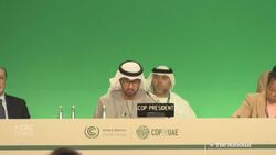 "No talk of fossil fuels at COP29 worries climate advocates News Clip