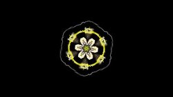 Floral kaleidoscope Stock Footage