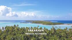 Swimming Through the Wall of Sharks Instructional Video