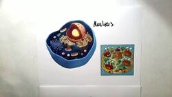 The Nucleus Instructional Video