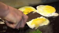 Poilievre's call to scrap temporary foreign worker program isn't based on evidence: Professor News Clip