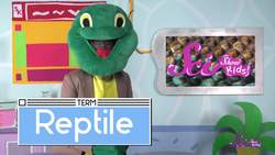 Turtle Time with Dr. Turtleman! Instructional Video