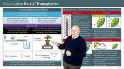 Methods of Estimating and Environmental Factors Affecting Transpiration in Plants Instructional Video