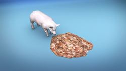 A quarter of all pigs could die from swine fever Instructional Video