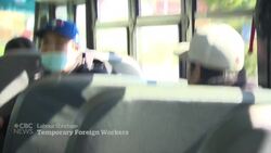 Facing labour shortage, seafood plant turns to foreign workers News Clip