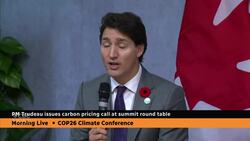 More than 100 world leaders leaders pledge to end deforestation by 2030 News Clip