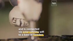 Conservationists in Peru are turning to robots to help reforest the Amazon News Clip