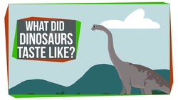 What Did Dinosaurs Taste Like? Instructional Video