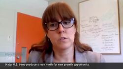 Extreme weather has berry producers exploring growing in Canada News Clip