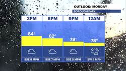 STORM WATCH: Heat, humidity, and spotty stormy weather throughout the week in Brooklyn News Clip