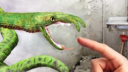 Venomous Sewer Snake Found in Bangkok! Instructional Video