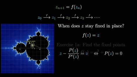 Where Newton meets Mandelbrot (Holomorphic dynamics)