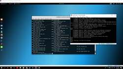 The Complete Ethical Hacking Bootcamp: Beginner To Advanced - Using Nmap Scripts - 1 Instructional Video