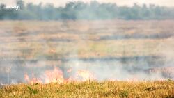 How Did Climate Change Become Such An Issue For 2020? News Clip