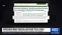 Ground beef recalled nationwide due to an E. coli outbreak News Clip