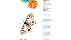 How to Write Baby Shower Invitations Instructional Video