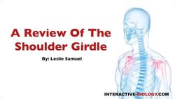 080 A Review of the Shoulder Girdle Instructional Video