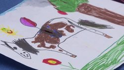 CLEAN : Healing with horses, equine-assisted therapy in the time of coronavirus News Clip