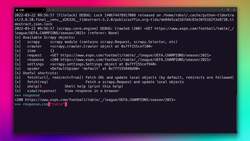 Web Scraping Tutorial with Scrapy and Python for Beginners - Finding the Selectors for Table Data Instructional Video
