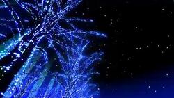 Neon Tree illumination Stock Footage