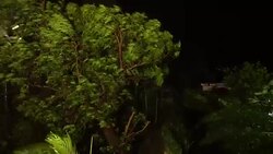 Trees Thrash In Strong Wind At Night From Approaching Hurricane Stock Footage