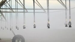 Irrigation pivot system watering agriculture field in 4K 60fps Stock Footage