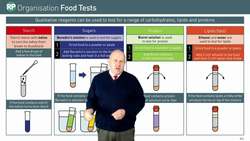 Introduction to Quantitative Reagent Tests for Carbohydrates, Lipids, and Proteins Instructional Video