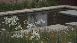 CLEAN : Mandela Sanctuary turns icon's home into boutique hotel News Clip