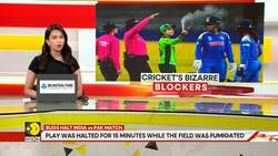 From Bugs to Burnt Toast: Top 5 Bizarre Reasons That Paused a Cricket Game News Clip