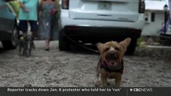 The Breakdown | Tracking down a Jan. 6 protester + Lebanon's future Instructional Video