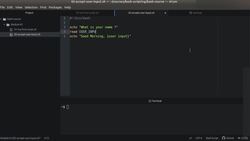 Bash Shell Scripting - Accepting an Input from the User Instructional Video
