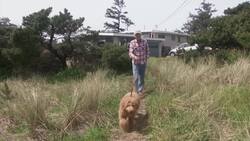 Medical marijuana use shrinks when general pot use is legalized Instructional Video