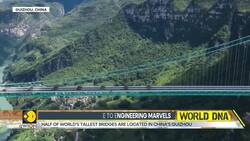World's Tallest Bridge: China to Unveil Huajiang Grand Canyon Bridge | WION News Clip