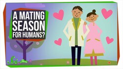 Why Don't Humans Have a Mating Season? Instructional Video